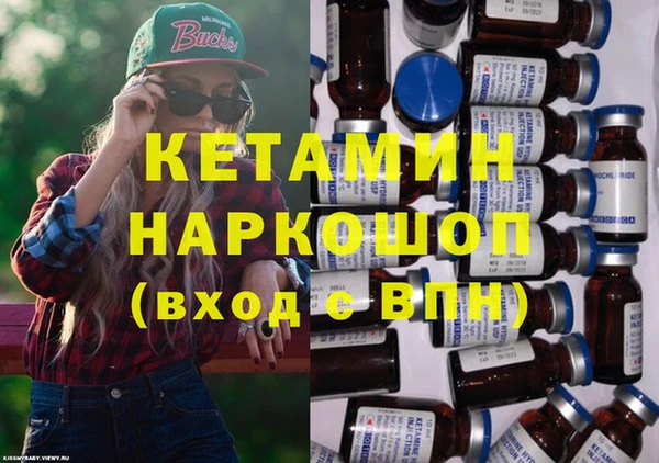 ешки Дубна