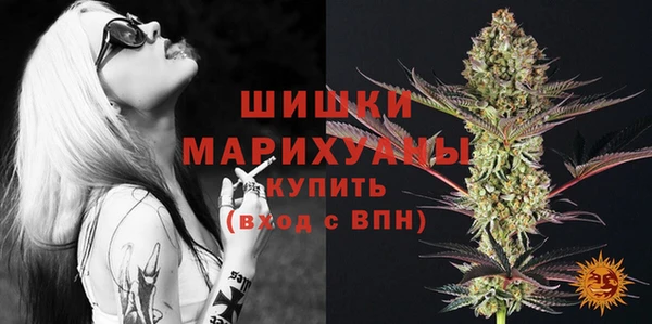 PSILOCYBIN Костерёво